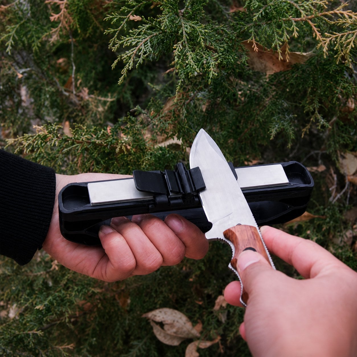 🔪✨ Venture Precision Knife Sharpener